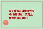 灵芝盆栽可以摆放大厅吗(家居摆放：灵芝盆栽适合放在大厅)