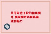 灵芝带孢子粉的精美图片 展现神奇药用真菌独特魅力