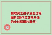 提取灵芝孢子油全过程图片(制作灵芝孢子油的全过程图片展示)