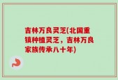吉林万良灵芝(北国重镇种植灵芝，吉林万良家族传承八十年)