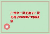 广州中一灵芝孢子？灵芝孢子粉哪里产的最正宗