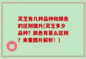 灵芝有几种品种和颜色的区别图片(灵芝多少品种？颜色有甚么区别？来看图片解析！)