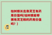 枯树根长出像灵芝有药用价值吗(枯树根能够拥有灵芝般的药用价值吗？)