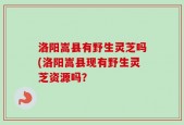 洛阳嵩县有野生灵芝吗(洛阳嵩县现有野生灵芝资源吗？