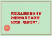 灵芝怎么搭配着吃才有效果视频(灵芝如何搭配食用，增强功效？)