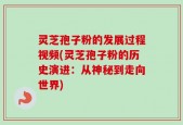 灵芝孢子粉的发展过程视频(灵芝孢子粉的历史演进：从神秘到走向世界)
