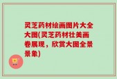 灵芝药材绘画图片大全大图(灵芝药材壮美画卷展现，欣赏大图全景景象)