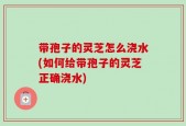 带孢子的灵芝怎么浇水(如何给带孢子的灵芝正确浇水)