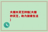 大棚木灵芝种植(大棚种灵芝，助力健康生活)