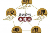 芝素堂灵芝孢子粉的功效与作用之 改善过敏体质