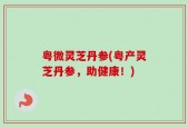 粤微灵芝丹参(粤产灵芝丹参，助健康！)