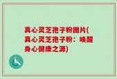 真心灵芝孢子粉图片(真心灵芝孢子粉：唤醒身心健康之源)