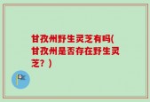 甘孜州野生灵芝有吗(甘孜州是否存在野生灵芝？)