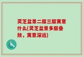 灵芝盆景二层三层寓意什么(灵芝盆景多层叠放，寓意深远)