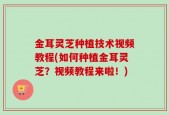 金耳灵芝种植技术视频教程(如何种植金耳灵芝？视频教程来啦！)