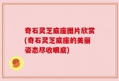 奇石灵芝底座图片欣赏(奇石灵芝底座的美丽姿态尽收眼底)
