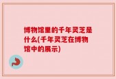 博物馆里的千年灵芝是什么(千年灵芝在博物馆中的展示)