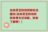 白肉灵芝的功效和吃法图片(白肉灵芝的功效和食用方式详解，快来了解吧！)