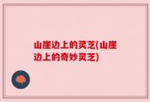 山崖边上的灵芝(山崖边上的奇妙灵芝)
