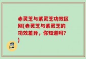 赤灵芝与紫灵芝功效区别(赤灵芝与紫灵芝的功效差异，你知道吗？)
