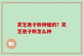 灵芝孢子粉种植的？灵芝孢子粉怎么种