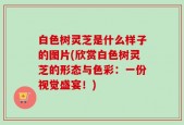 白色树灵芝是什么样子的图片(欣赏白色树灵芝的形态与色彩：一份视觉盛宴！)