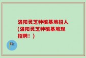 洛阳灵芝种植基地招人(洛阳灵芝种植基地现招聘！)
