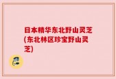日本精华东北野山灵芝(东北林区珍宝野山灵芝)