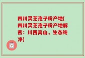 四川灵芝孢子粉产地(四川灵芝孢子粉产地解密：川西高山，生态纯净)