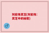 刘宏伟灵芝(刘宏伟：灵芝中的秘密)