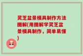 灵芝盆景模具制作方法图解(用图解学灵芝盆景模具制作，简单易懂)