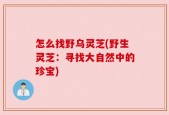 怎么找野乌灵芝(野生灵芝：寻找大自然中的珍宝)