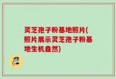 灵芝孢子粉基地照片(照片展示灵芝孢子粉基地生机盎然)