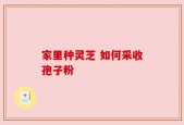 家里种灵芝 如何采收孢子粉