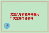 灵芝几年有孢子吗图片？灵芝采了还长吗