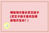 哪些地方爱长灵芝孢子(灵芝子孢子喜欢在哪些地方生长？)