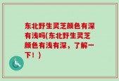 东北野生灵芝颜色有深有浅吗(东北野生灵芝颜色有浅有深，了解一下！)