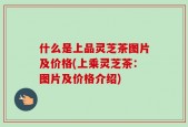 什么是上品灵芝茶图片及价格(上乘灵芝茶：图片及价格介绍)