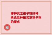 哪种灵芝孢子粉好种 挑选易种植灵芝孢子粉的要点