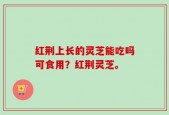 红荆上长的灵芝能吃吗可食用？红荆灵芝。