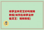 绿萝盆种灵芝好吗视频教程(如何在绿萝盆种植灵芝：视频教程)