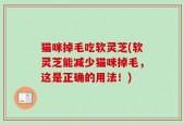 猫咪掉毛吃软灵芝(软灵芝能减少猫咪掉毛，这是正确的用法！)