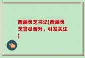 西藏灵芝书记(西藏灵芝官员晋升，引发关注)