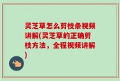 灵芝草怎么剪枝条视频讲解(灵芝草的正确剪枝方法，全程视频讲解)