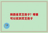 陕西省灵芝孢子？哪里可以买到灵芝孢子