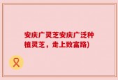 安庆广灵芝安庆广泛种植灵芝，走上致富路)