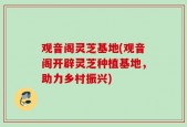 观音阁灵芝基地(观音阁开辟灵芝种植基地，助力乡村振兴)