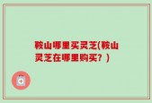 鞍山哪里买灵芝(鞍山灵芝在哪里购买？)