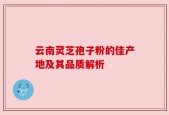 云南灵芝孢子粉的佳产地及其品质解析