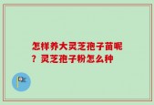 怎样养大灵芝孢子苗呢？灵芝孢子粉怎么种